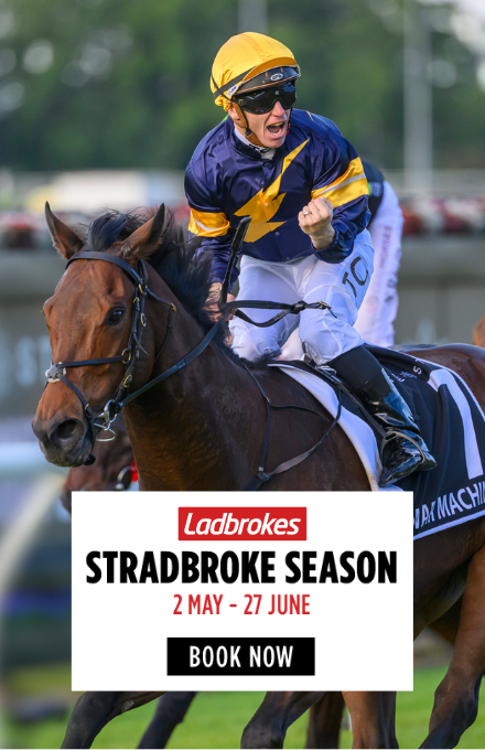 SS26_Homepage Widget v2